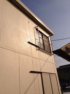 写真 1