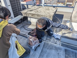 PXL_20231119_012051491