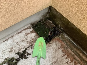 IMG_1959