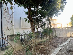 IMG_3890