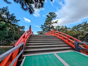 PXL_20240124_012039915-EDIT~2