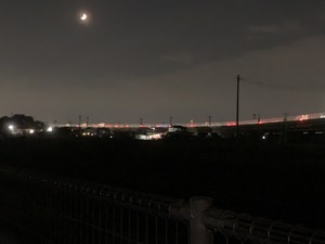 IMG_1946