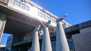 DSC_2562