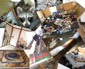 ミックス写真jpg