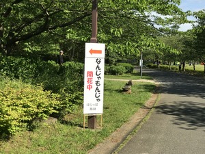 IMG_3585