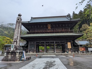 PXL_20250423_024207410