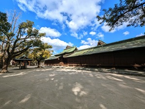 PXL_20240125_013956321~2