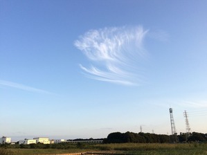 IMG_5411