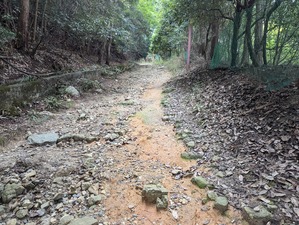PXL_20241002_052731444