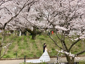 IMG_5017