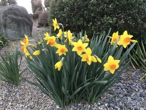 IMG_2487