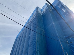 IMG_1037
