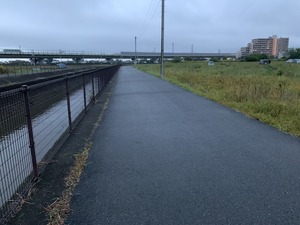 IMG_7981