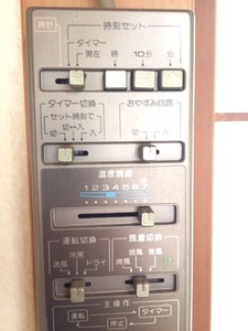 写真 2 (4)