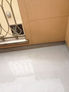 写真 5 (3)