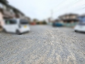 PXL_20240319_030442130~2