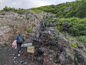 PXL_20230802_092835437