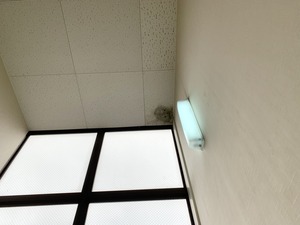 IMG_0868 1