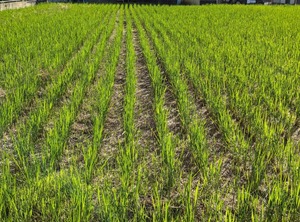 PXL_20230924_222602006