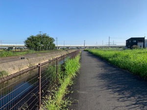 IMG_6519