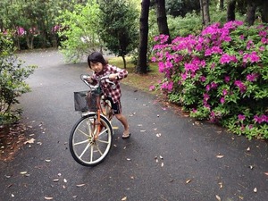 写真 4