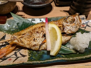 PXL_20230525_095943338