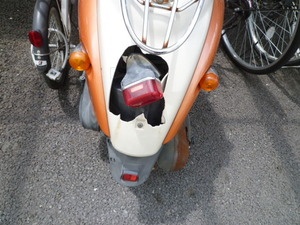 �ʥ�С��ʤ�