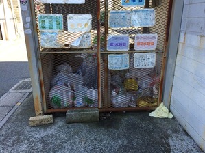 IMG_5564