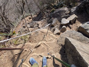 PXL_20260205_022704455~2