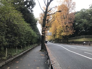 IMG_0280