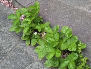 PXL_20230528_063700809