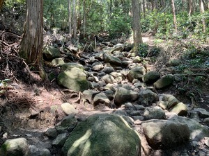 IMG_5748