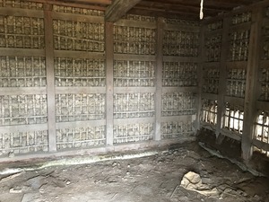 IMG_4561