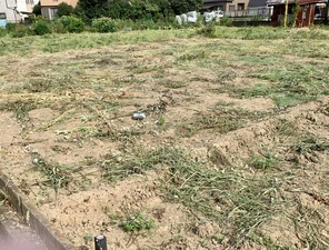 IMG_1532