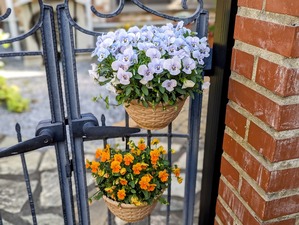 PXL_20240427_222955862.PORTRAIT-EDIT