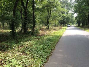 IMG_4191