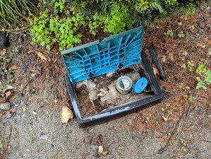 PXL_20250506_045847772~2