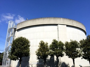 IMG_9471