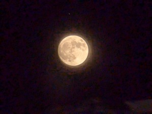 PXL_20240917_095355907.NIGHT