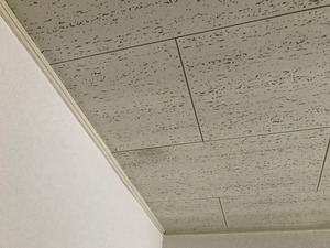 IMG_7066