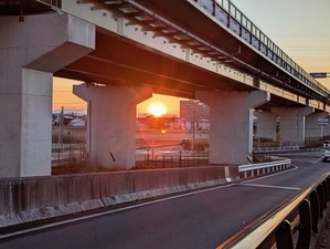 PXL_20250319_084327247
