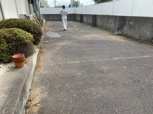 IMG_2803