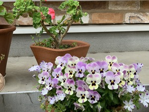 05052