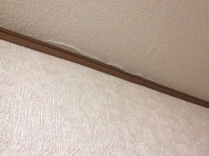 写真 1