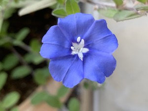IMG_3038
