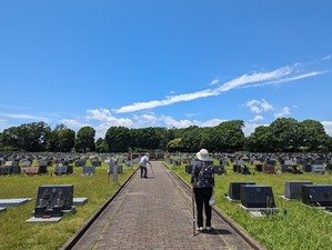 PXL_20240529_024817200