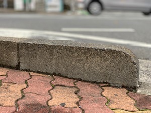 IMG_5087