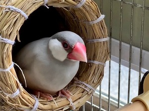 IMG_9664