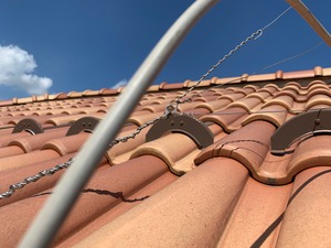 IMG_6540