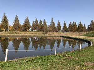 IMG_0327